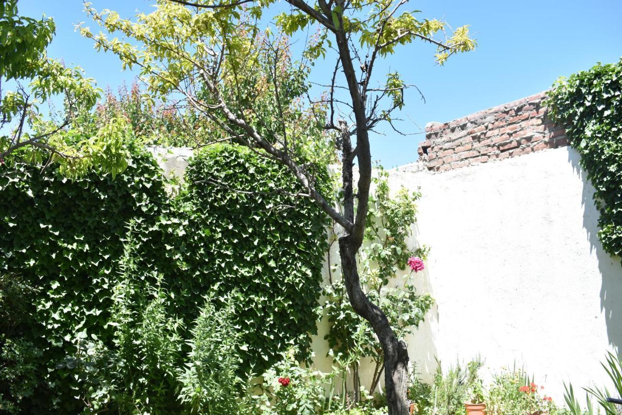 Del Alto-Viviendas Turisticas Zapala Exteriör bild